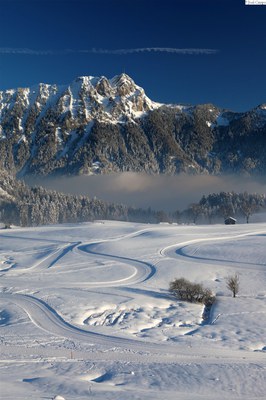 Leysin - piste de ski de fond et vue sur le Chamossaire - © J. Crespo
